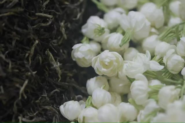 _福建小伙从国企离职,卖爆家乡特产,年销500万_福建小伙从国企离职,卖爆家乡特产,年销500万