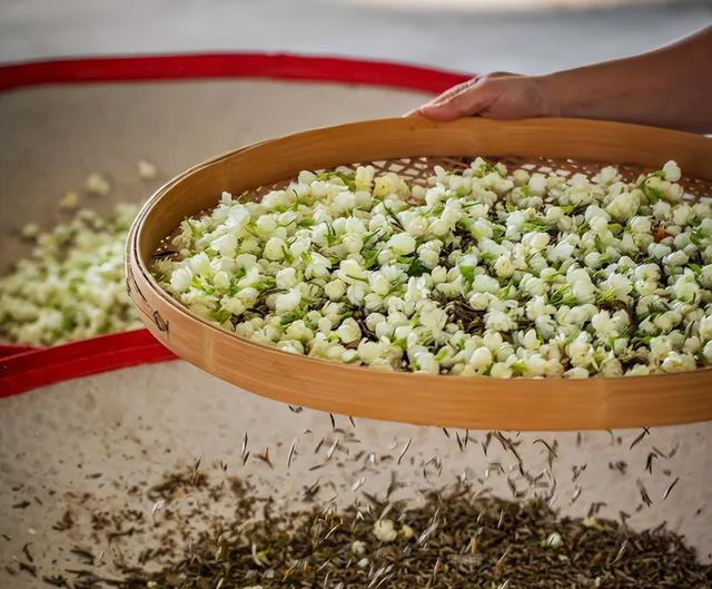 福建小伙从国企离职,卖爆家乡特产,年销500万__福建小伙从国企离职,卖爆家乡特产,年销500万