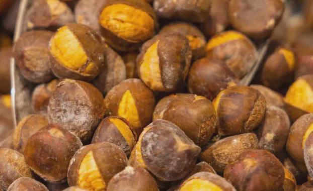 炒货刺客,在山姆跌了一跤_刺客跌山姆炒货视频_