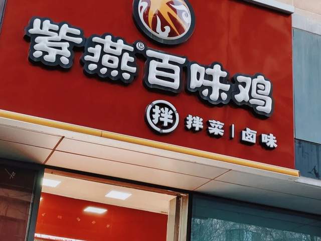 _拾来的女婿下集_紫燕食品有限公司