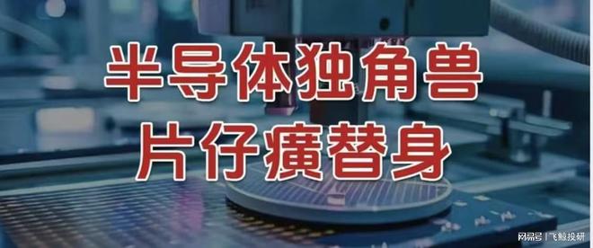 打破垄断，半导体独角兽，片仔癀的替身！