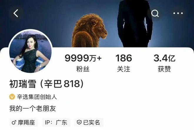 500亿电商黑马换帅，辛巴交棒老板娘_500亿电商黑马换帅，辛巴交棒老板娘_