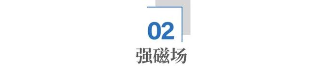 第十五比赛日__第十五届