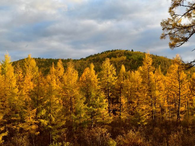 早八人最近都用瑞幸泡牛肉干？走不出工位但也要假装在草原喝咖啡