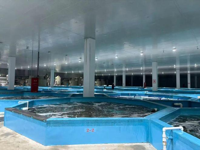 帝王蟹盛产哪里_帝王蟹主要产区_