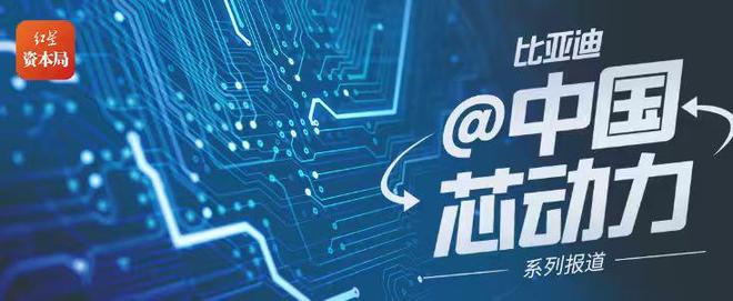 半导体ip供应_半导体芯片类上市公司_