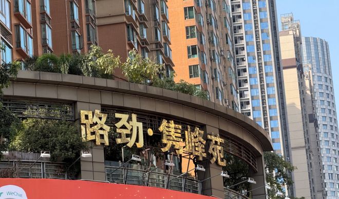 “投行第一美女”判了10年！收取通道费，涉知名房企_“投行第一美女”判了10年！收取通道费，涉知名房企_