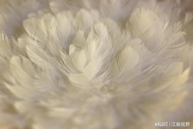 中产羽绒服“高价围城”,两千元是门槛还是困局开端?_中产羽绒服“高价围城”,两千元是门槛还是困局开端?_