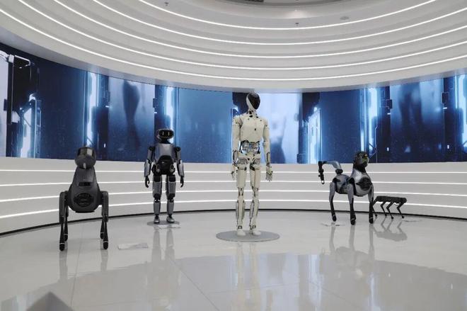 _翻身仗vlog_翻身仗是啥意思