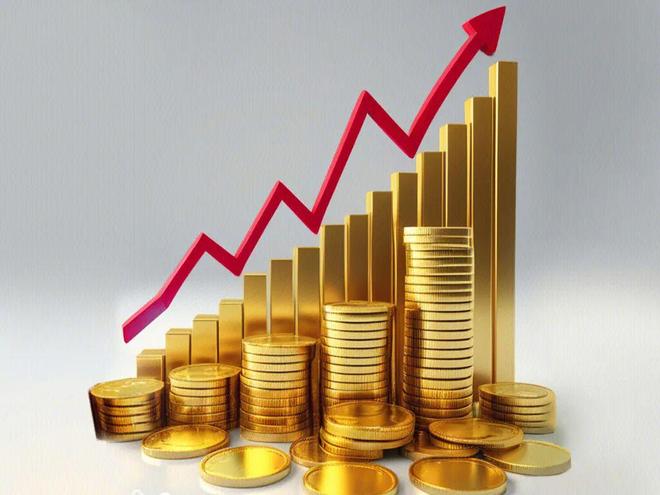 芯申购_芯华创资本_