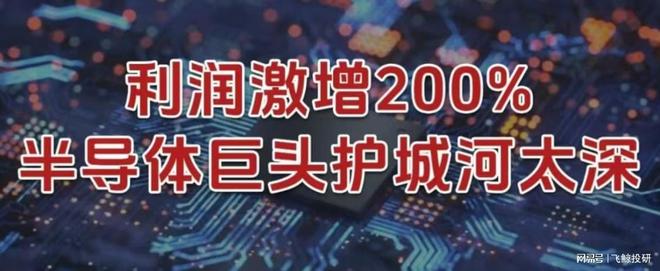 利润激增200%，半导体巨头，护城河太深！