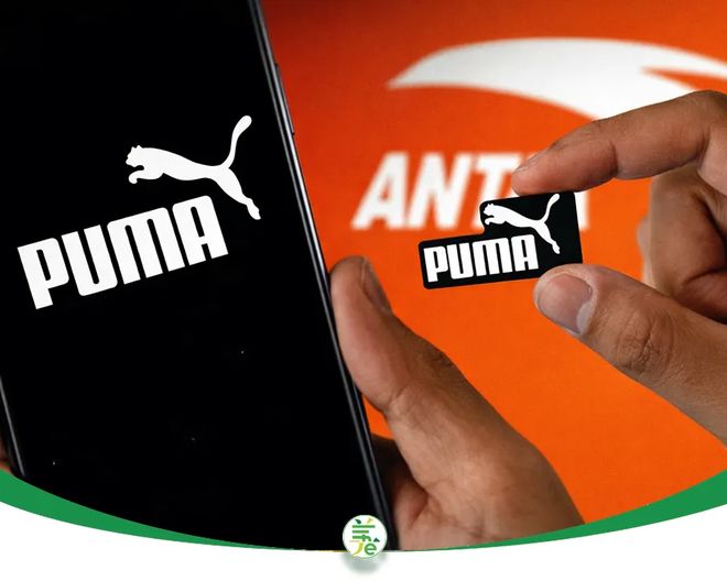 安踏并购彪马，没拿到董事席位，为什么？