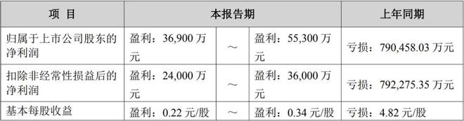 “天齐锂业”丢失一城_“天齐锂业”丢失一城_