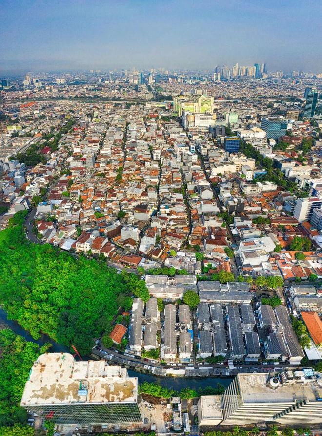 阴阳师化鲸带什么御魂好__化鲸带什么御魂好