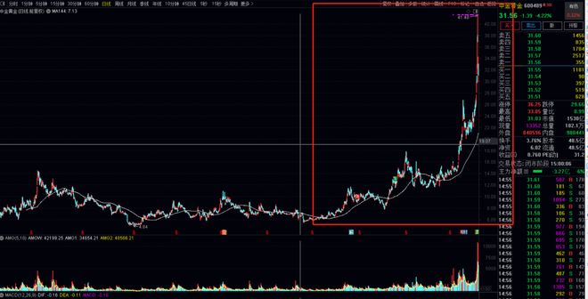 精读季报丨哪些行业出现拐点？杨金金抄底航空、建材，减持黄金__精读季报丨哪些行业出现拐点？杨金金抄底航空、建材，减持黄金