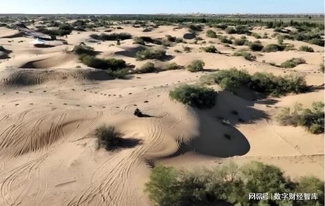 用智慧解决生活难题200__美媒中国春节