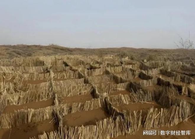 用智慧解决生活难题200__美媒中国春节