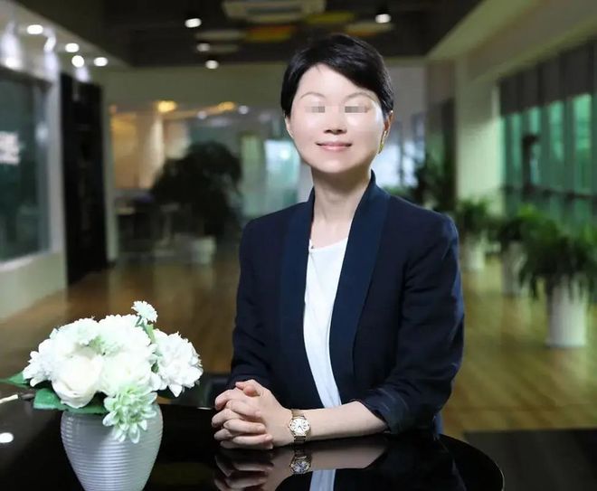 80后“最美女老板”，干成充电桩之王！但被地产商坑惨了__80后“最美女老板”，干成充电桩之王！但被地产商坑惨了