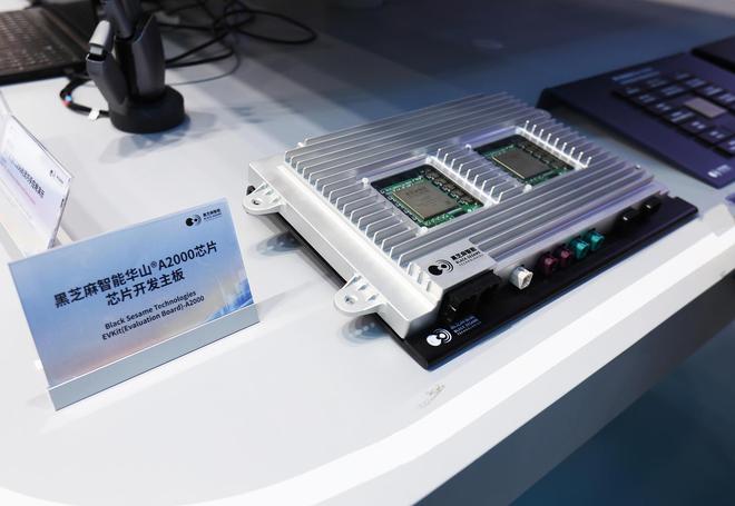 _芝麻科技股票_芝麻近期行情如何