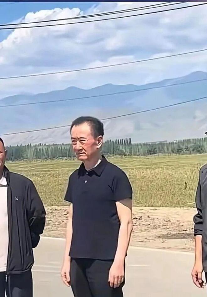 _王健林债大_王健林被问负债