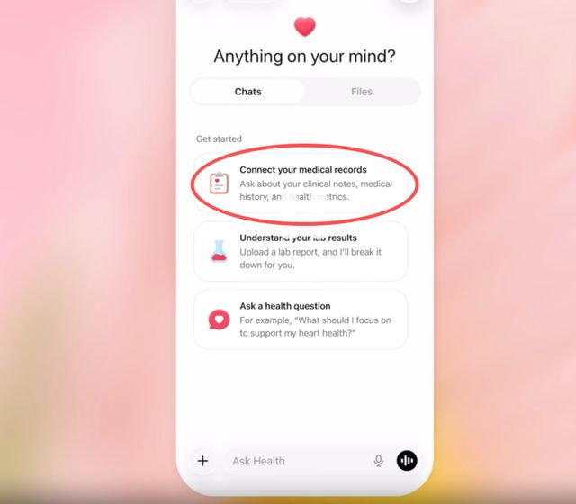 小班健康蚂蚁搬豆__蚂蚁保险健康金是什么