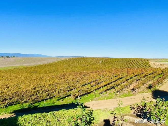 _黄金央行增持赢跑股连续涨停_中国央行增持黄金