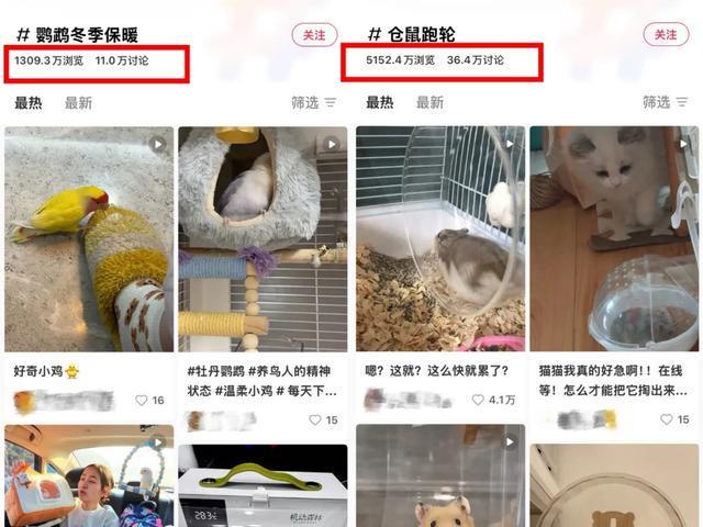 _为仓鼠做窝、给鹦鹉做浴室，温州程序员挖掘小宠用品，年赚近亿元_为仓鼠做窝、给鹦鹉做浴室，温州程序员挖掘小宠用品，年赚近亿元