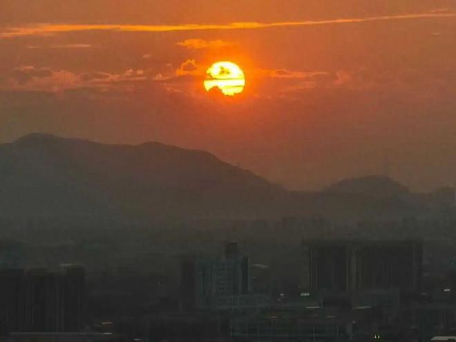 控股股东违规减持__违规减持的处罚