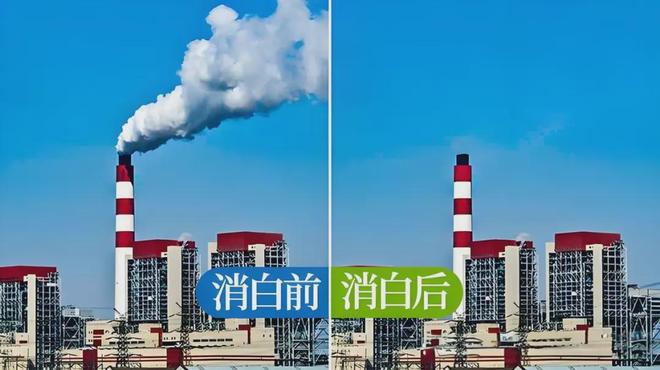 _焚烧一吨垃圾多少钱_每年有多少垃圾被焚烧