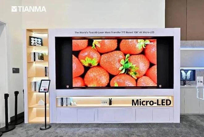 _熊猫眼镜工作室_熊猫眼镜乐队资料