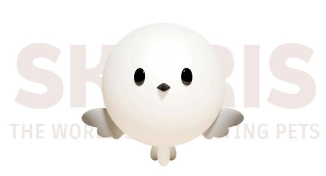 熊猫眼镜乐队资料_熊猫眼镜工作室_