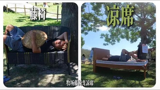 消费者的情绪情感__消费者购买情绪