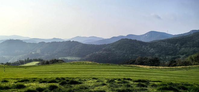 青岛上合控股票据逾期高企 国家级示范区平台流动性承压引关注