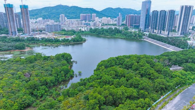 利好方面__利好之处