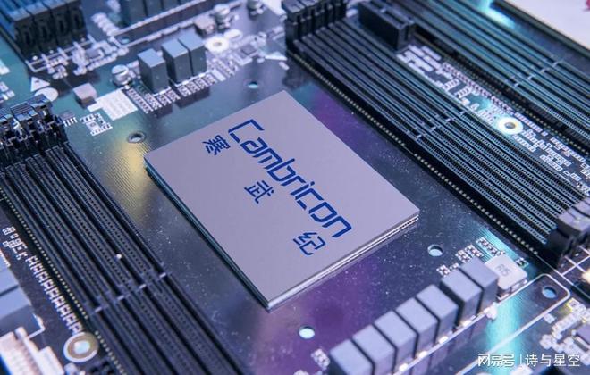 十年寒窗磨一剑下一句__2021年光环