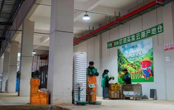 叮咚买菜蔬菜分拣流程视频__叮咚买菜仓库