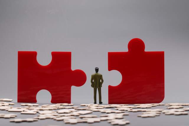 _蛇吞象并购绩效研究_并购蛇吞象