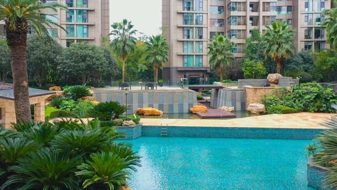 _深圳，来了个狠角色_深圳，来了个狠角色