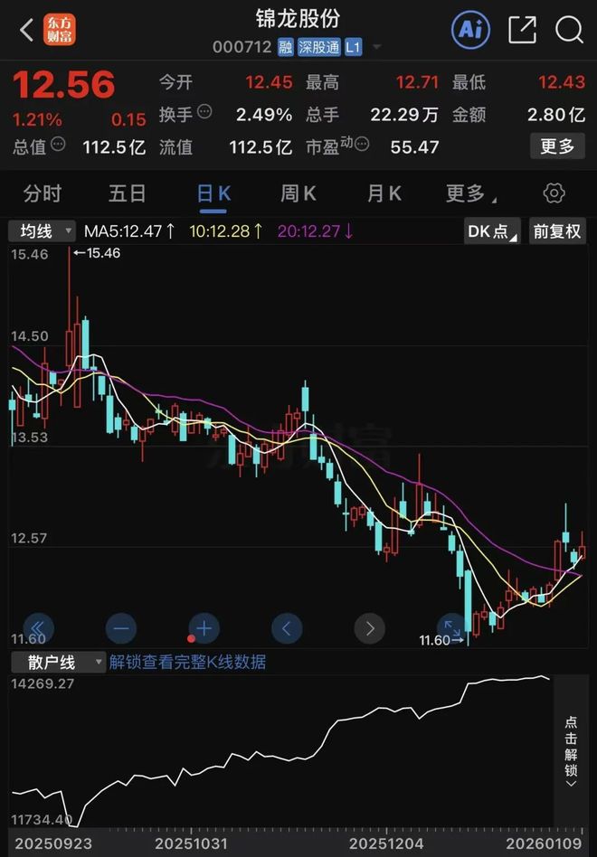 股份拍卖后走势__股份拍卖是利好吗