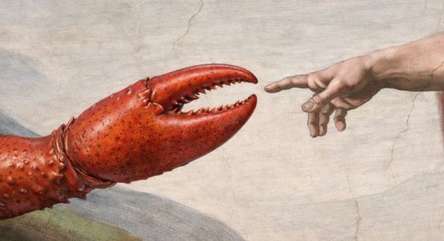 _盗刷是怎么刷的_盗刷一般通过什么渠道