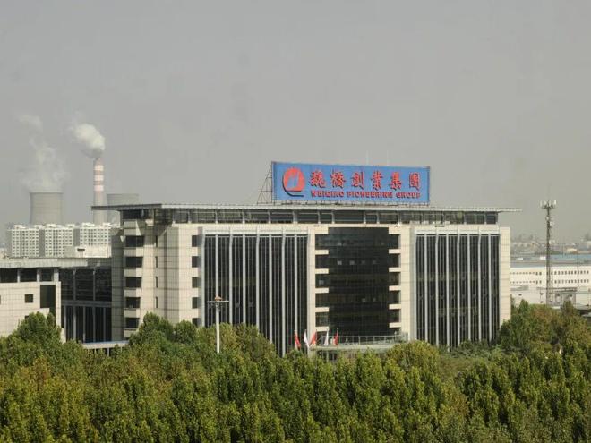 张波：魏桥的创新既要“脚踩到地”，又要“头顶到天”__张波：魏桥的创新既要“脚踩到地”，又要“头顶到天”