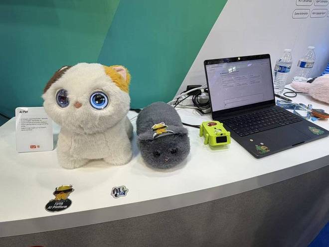 _拉斯维加斯是什么意思_拉斯维加斯现状如何