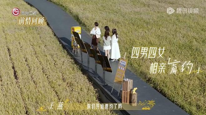 人均800+心眼子，爆火的中老年精英恋综有多生猛？_人均800+心眼子，爆火的中老年精英恋综有多生猛？_