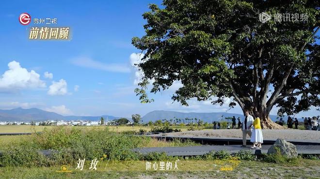 _人均800+心眼子，爆火的中老年精英恋综有多生猛？_人均800+心眼子，爆火的中老年精英恋综有多生猛？