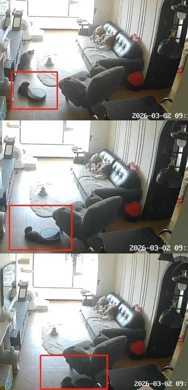 _“3·15”小周爆料 | 智能家电“伪智能”调查：智能为何反“添乱”？_“3·15”小周爆料 | 智能家电“伪智能”调查：智能为何反“添乱”？