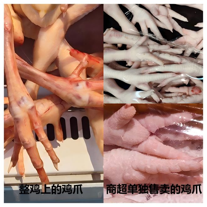 “3·15”晚会曝光双氧水鸡爪，从“黑瘦小”到“白又胖”，重量增加超15%