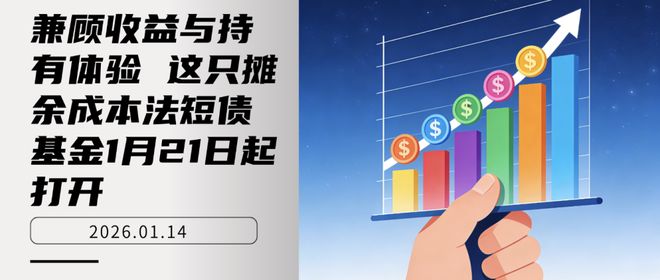 _长债基金和短债基金风险_摊余成本是什么