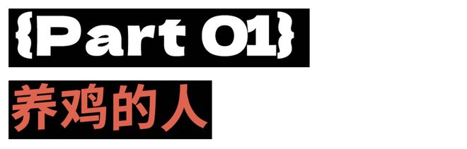 母鸡，咋成了异乡游子的第二个妈？_母鸡，咋成了异乡游子的第二个妈？_