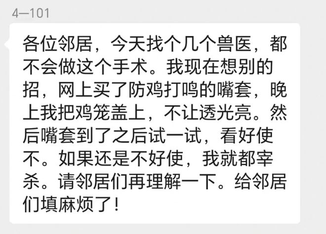 _母鸡，咋成了异乡游子的第二个妈？_母鸡，咋成了异乡游子的第二个妈？
