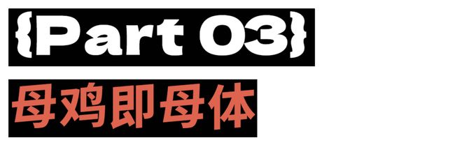 母鸡，咋成了异乡游子的第二个妈？_母鸡，咋成了异乡游子的第二个妈？_